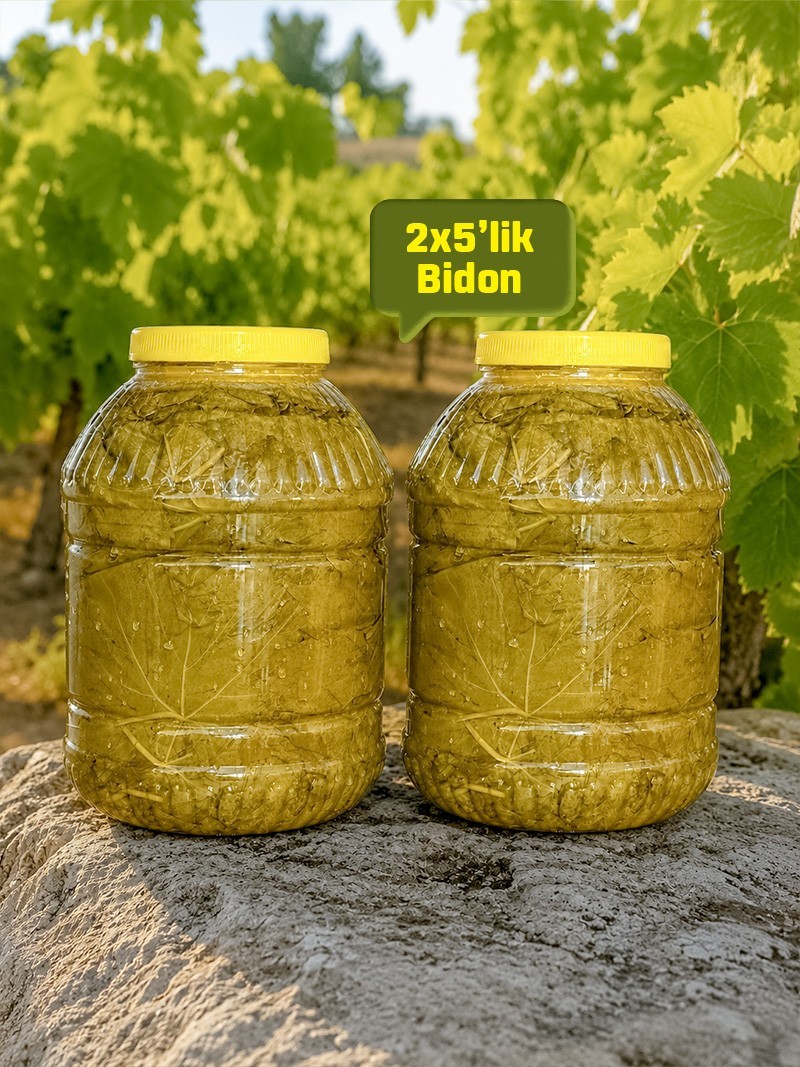Salamura Asma Yaprak 2x5'lik Bidon