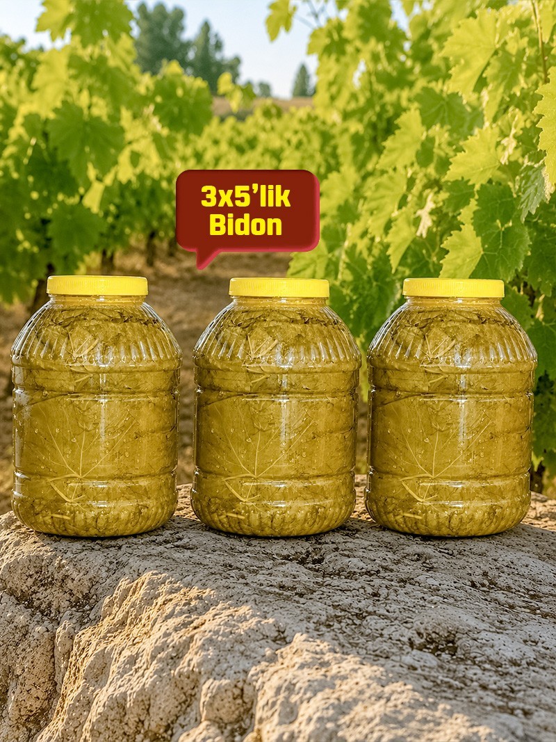 Salamura Asma Yaprak 3x5'lik Bidon