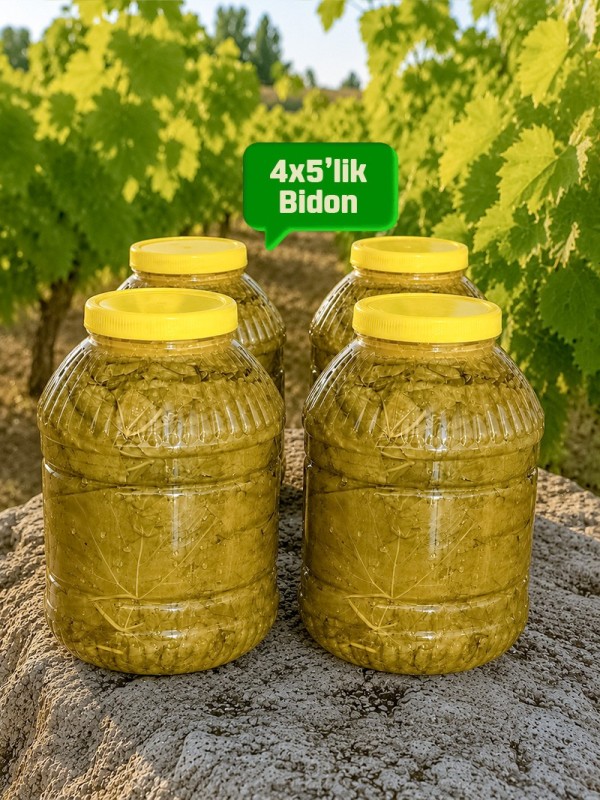 Salamura Asma Yaprak 4x5'lik Bidon